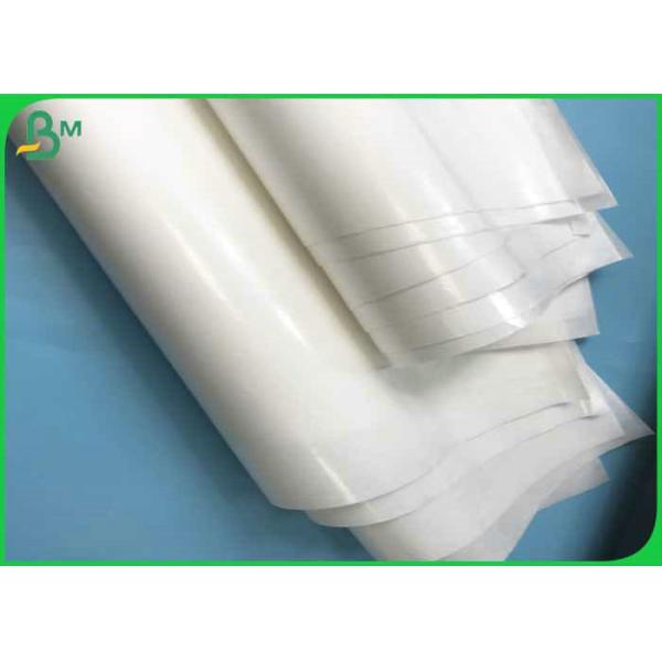 pe coated paper