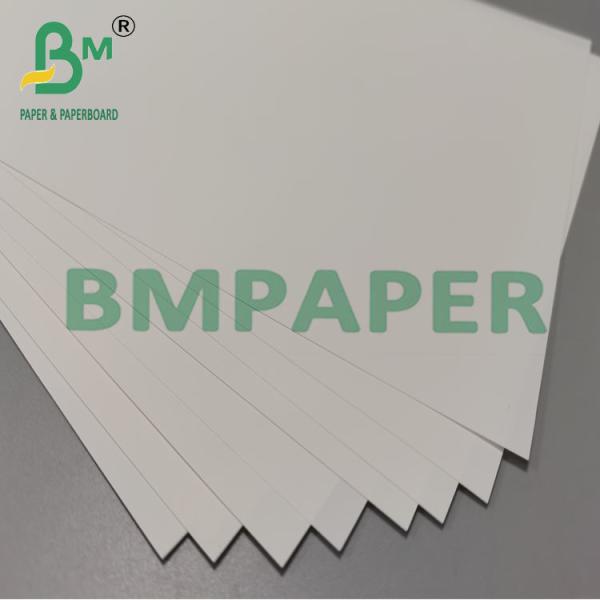 250um 260mm Heat Resistant Synthetic Brochure Paper 250um 260mm Heat Resistant Synthetic Brochure Paper