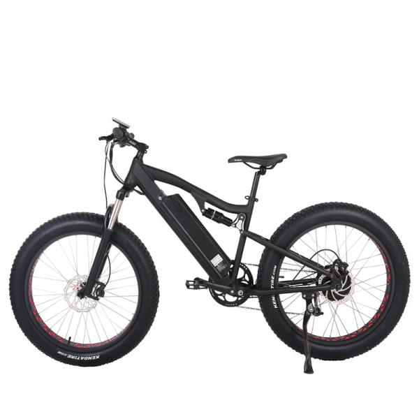 Customized Electric Bicycle 48v 500w Full Suspension E Bike with 13 AH Down Tube Battery