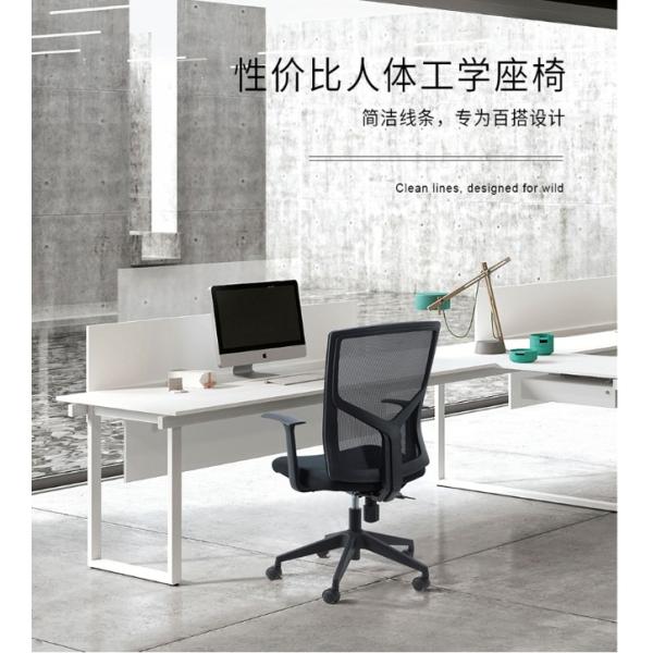 Stainless Steel Executive Office Chair with Adjustable Armrest and BIFMA Certification