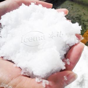 Carbon Steel SUS304 Material Industrial Ice Crusher Maker