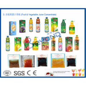 High Speed Juice Manufacturing Machines , Full Automatic Fruit Juice Extraction