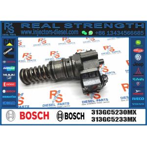 Common Rail Fuel Injector 313GC5230MX 313GC5230M 7485003175 0986445005 for DAF