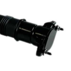 ISO W251 Mercedes Benz Air Suspension Rear Strut Replacement 2513201931