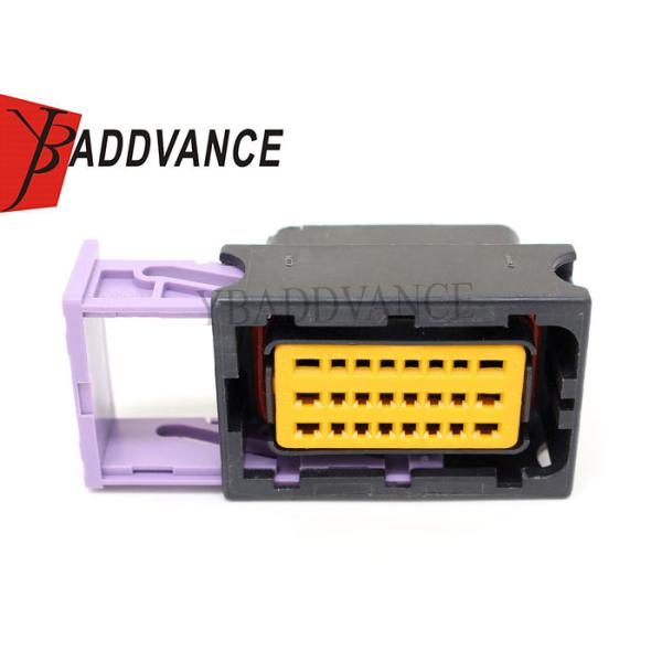 24 Way Female Sealed FCI Automotive Connectors With Terminals 211PC249S0005