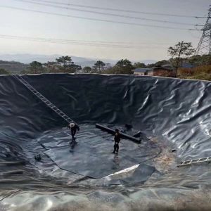 Fish Farm Pond Liner HDPE Geomembrane Waterproof Plastic Materials Geomembrane