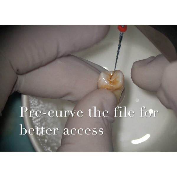 Professional Blue Dental Rotary Files For Root Canal Treatment OEM ODM Service