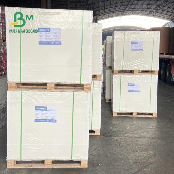 100% Safe One Side Coated White Food Board 275gsm 325gsm For Packing Food 