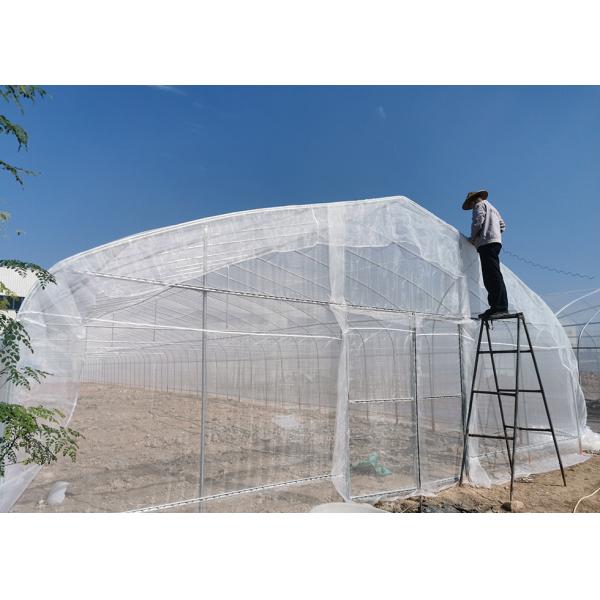 Buy 8x6 Value Greenhouse | Weatherproof UV-Resistant for Commercial & Home Gardening at wholesale prices