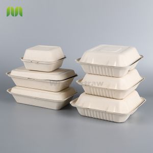 Clamshell Takeaway Food Box Taper Biodegradable Disposable Plate Dish Bagasse