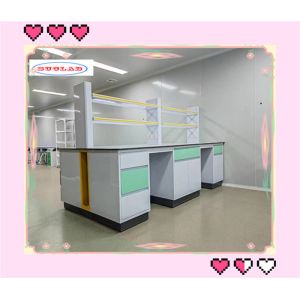 Customizable Lab Caseworks with DTC 105° Buffer Hinge Solution