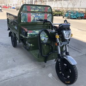 Electric Dump 1 Ton 800 Watt Adult Cargo Tricycle
