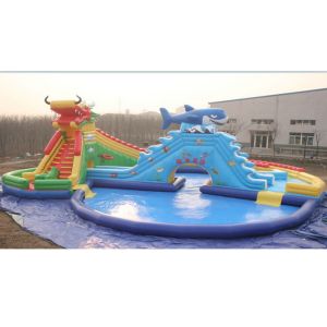 Big Business Inflatable Water Parks