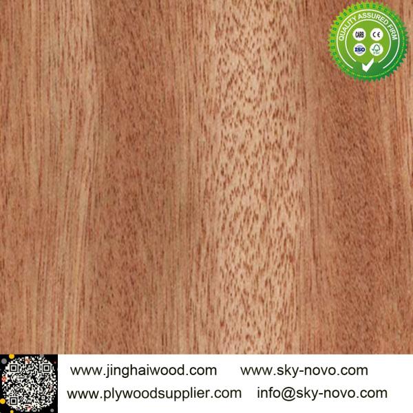 Buy Bintangor,oak,maple natrual veneer at wholesale prices