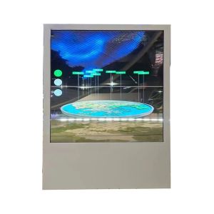 Quality 4K Resolution Transparent OLED See Through Screen Capacitive Touch for sale