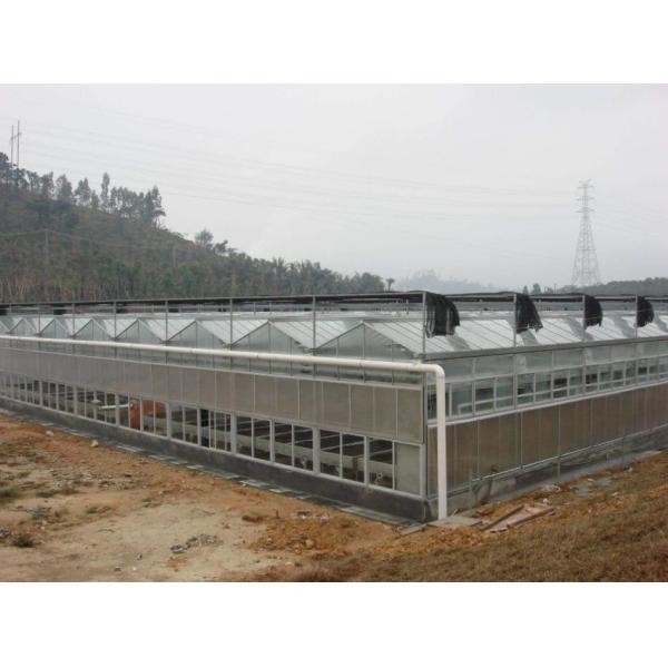Buy Sound Insulation PC Rigid Plastic Sheets Greenhouse Grade B1 Retardant Standard For Aquaponics at wholesale prices
