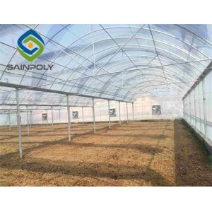 Vegetable 7ft Pe Film Greenhouse With Irrigation Eqiupment