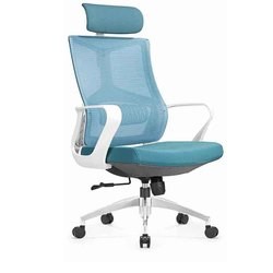 Ergonomic Desk Chair Mesh Computer Chair with Lumbar Support Adjustable Headrest