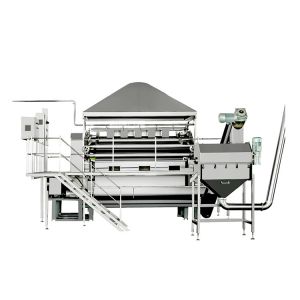 China High Production Cereal Processing Equipment Good Management Operating Smoothly on sale