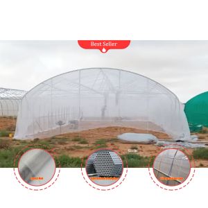 Single-Span Tunnel Greenhouse 8m Wide with 200 Micron Plastic Film