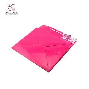 Recyclable Luxury Printed Paper Gift Bags Matt Lamination Aqueous Coating