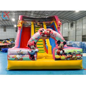 Customized Inflatable Slide Mickey And Minnie Inflatable Double Dry Slides