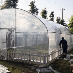 Tunnel Plastic Film Top Vent Greenhouse Uv Single Span For Plants Growing