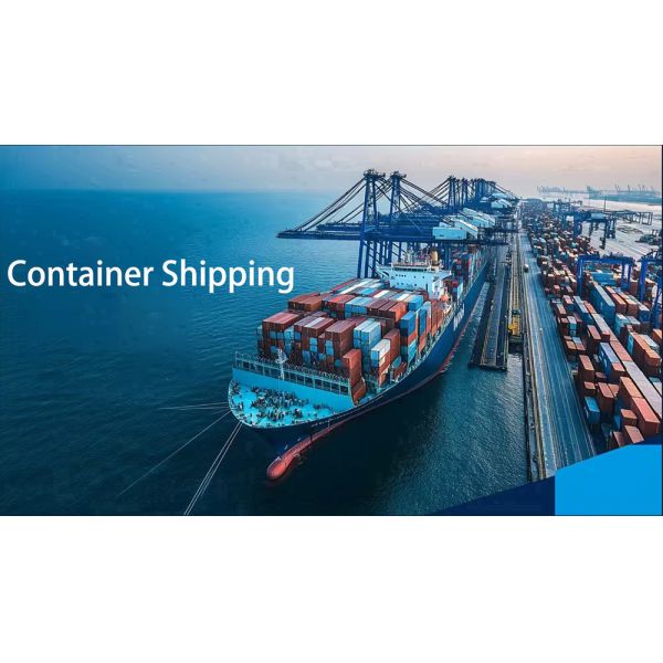 CE ISO 1200PCS/MIN Sanitary Pad Production Line PLC Full Servo Control Intelligent Operation