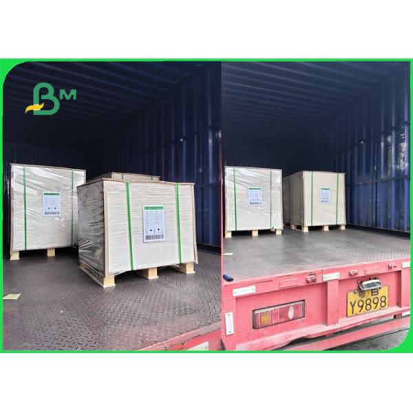 230gsm 260gsm PLA Coated Cardboard For Bowls 100% Biodegradable Food Safe