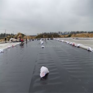 Industrial Design Style 1m-8m Width HDPE Geomembrane at for Industrial