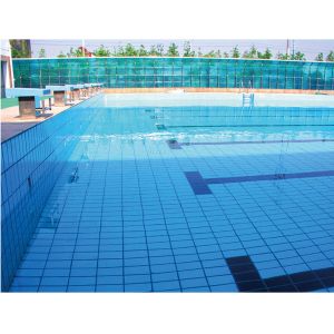 115x240mm Ceramic Pool Mosaic Tiles 6mm Thick Waterproof