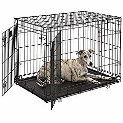 Electrophoresis Surface 30'' Metal Wire Dog Crate