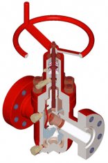 Expanding API 6A Gate Valve