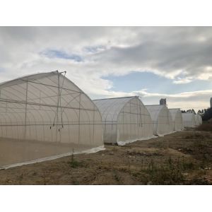 Arched Temperature Control Tunnel Green Houses With Outside Shading System