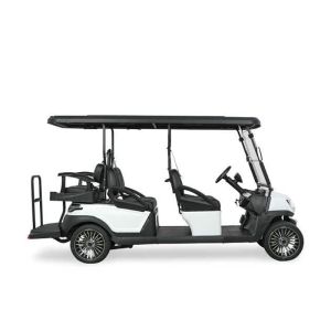 6 Persons Electric Golf Cart With Backward Seats