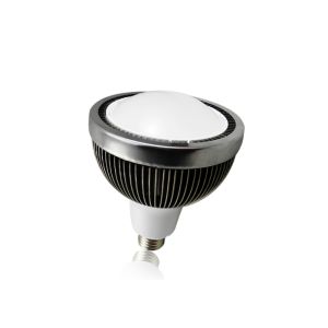 Quality 9w LED PAR38 Light for sale