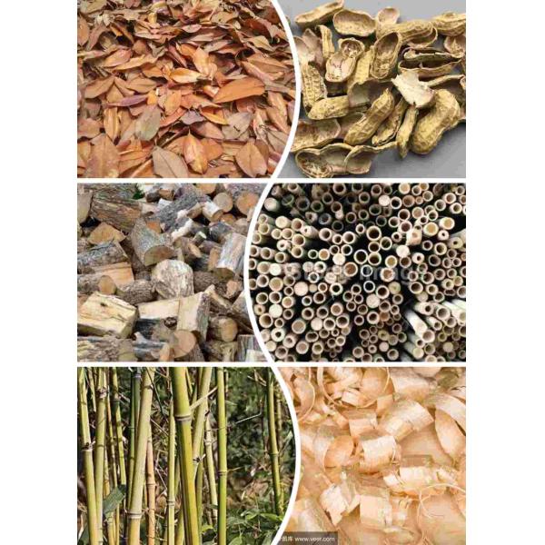 15kw Wood Pellet Mill 200kg/H Husk Sawdust Wood Pellet Machine Bimoass Fuel