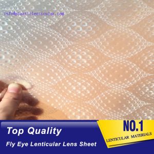 PLASTIC LENTICULAR flys eye 3d plastic sheet double sides 0.5mm fly-eye