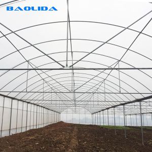 Clear Plastic Grow Tunnel / Agriculture Farm Plastic Tunnel Greenhouse