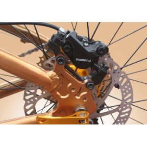 Private Label OEM 1000W 29 Inch Electric Mountain Bike