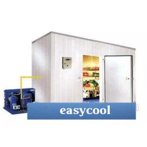 Customized Size And Materials Insulated Panel Ice Storage Cold Room For Food Or