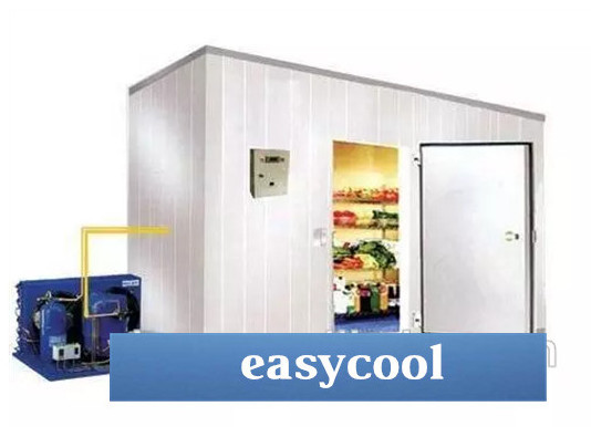 Customized Size And Materials Insulated Panel Ice Storage Cold Room For Food Or