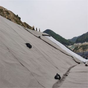 Composite Drainage Geomembrane for Drainage Engineering Length 50m/roll as