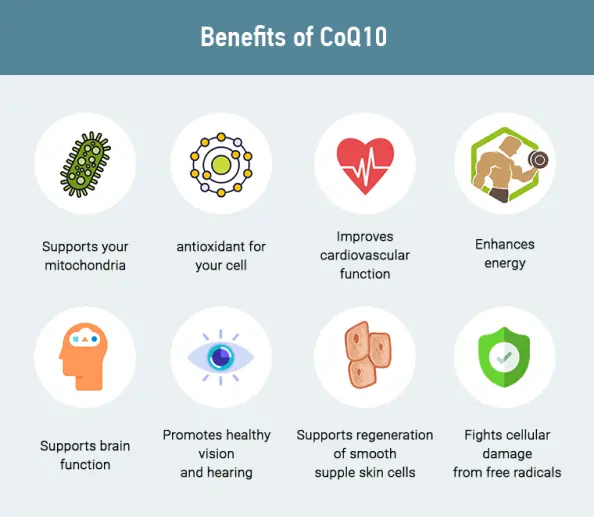 COQ 10 benefits 