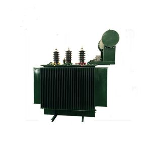 Oil Immersed Transformer (100-1600) kVA for Russian Market, with Accessories