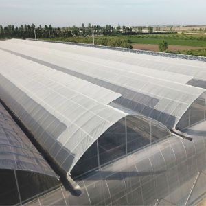Automatical Controlling System Galvanized Steel Frame Film Greenhouse for