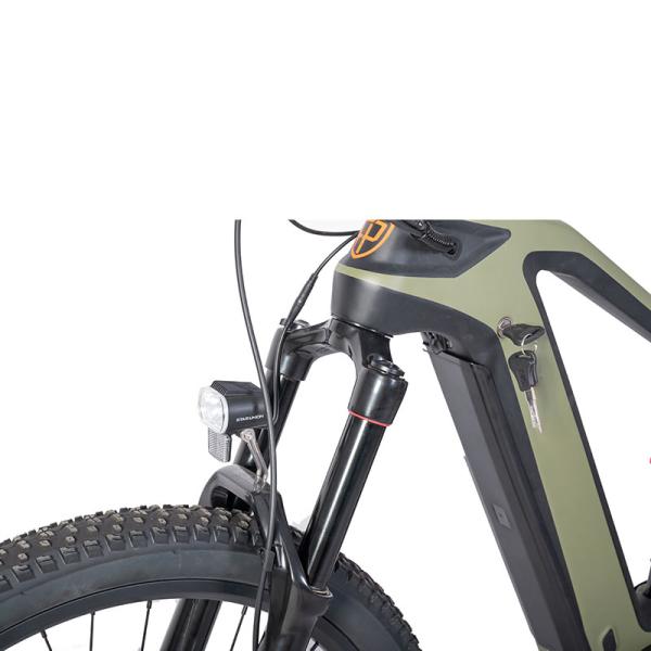 Fast Speed Central Motor Electric Mountain Bike with Hidden Battery and 160 N.M Torque