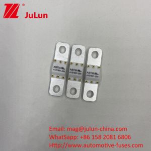 A121601-100A ASTM Electric Vehicles New Energy Equipment Battery Ene Fuse For
