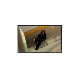 IPS TFT LCD Modules 1280x720 Resolution TFT Display Modules 8 Inch With LVDS