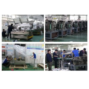 Vertical Automatic Cartoning Machine Condom Sachet Soap Box Packing